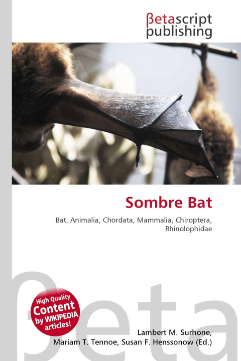 Kniha Sombre Bat Mariam T. Tennoe