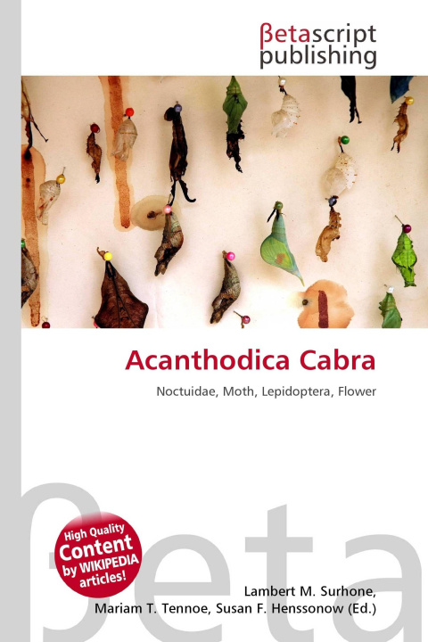 Kniha Acanthodica Cabra Mariam T. Tennoe