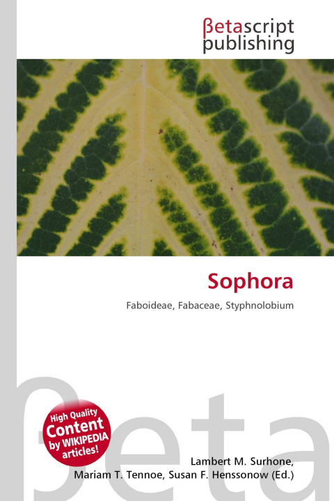 Kniha Sophora Mariam T. Tennoe