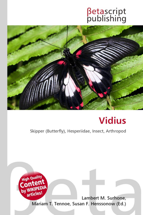 Könyv Vidius Mariam T. Tennoe