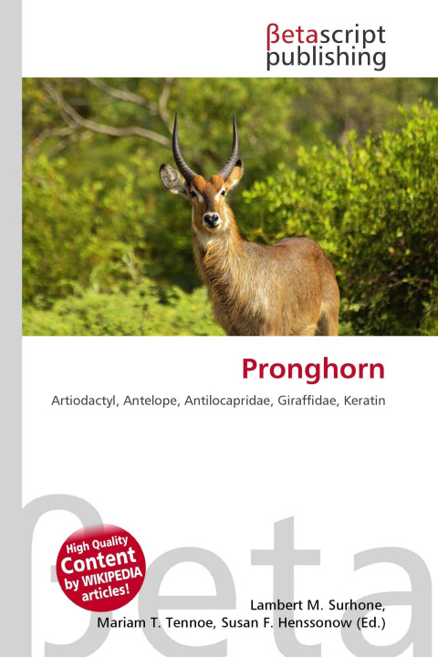 Kniha Pronghorn Mariam T. Tennoe