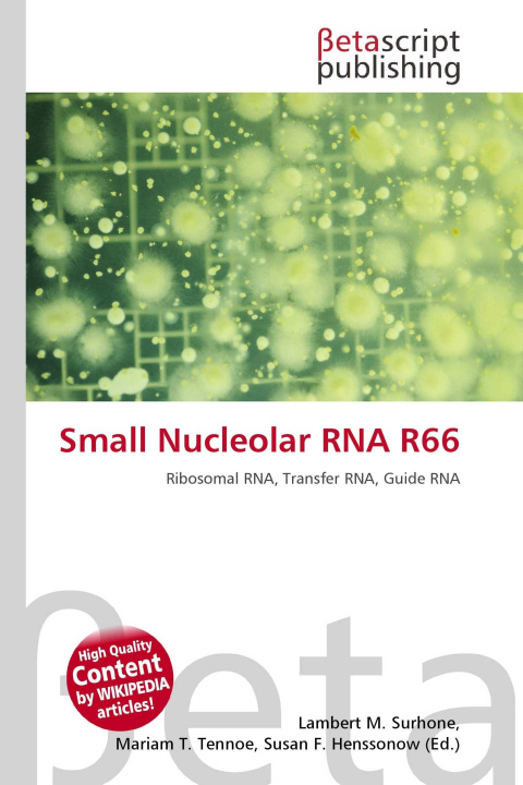 Knjiga Small Nucleolar RNA R66 Mariam T. Tennoe