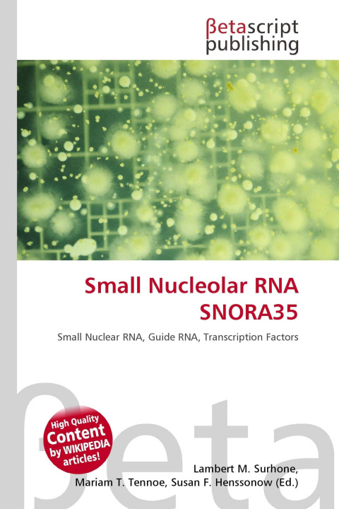 Kniha Small Nucleolar RNA SNORA35 Mariam T. Tennoe