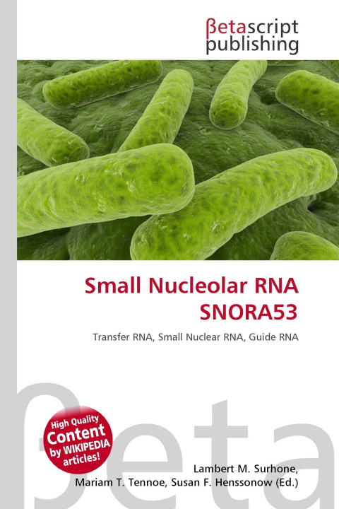 Kniha Small Nucleolar RNA SNORA53 Mariam T. Tennoe