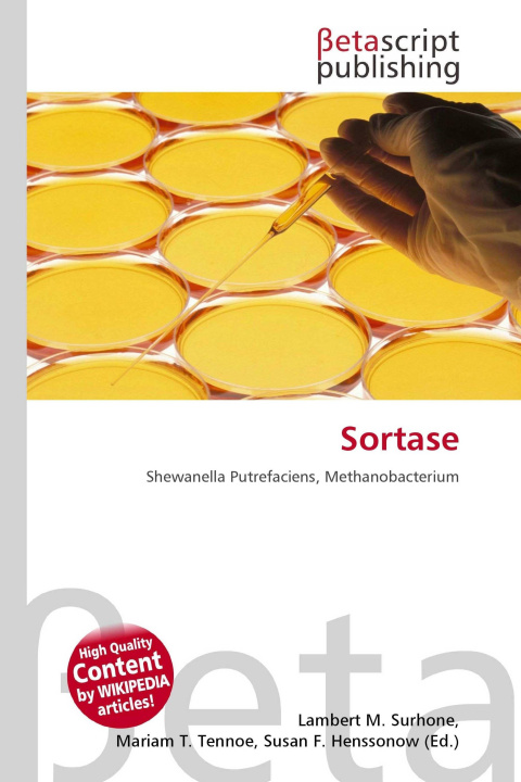 Kniha Sortase Mariam T. Tennoe