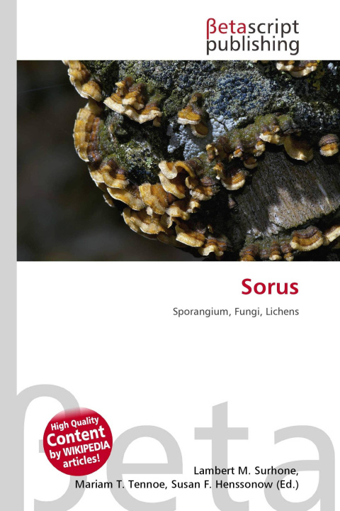 Kniha Sorus Mariam T. Tennoe