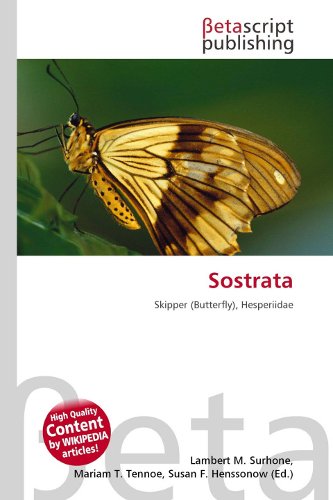 Kniha Sostrata Mariam T. Tennoe