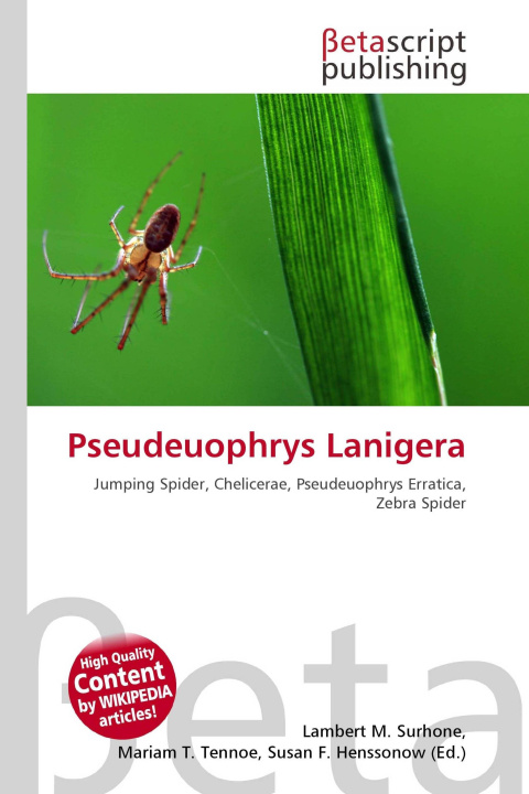Kniha Pseudeuophrys Lanigera Mariam T. Tennoe