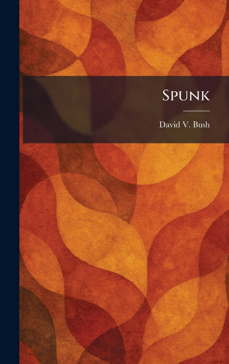 Kniha Spunk David V. Bush