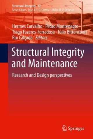 Kniha Structural Integrity and Maintenance Hermes Carvalho