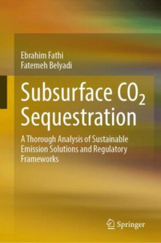Kniha Subsurface CO2 Sequestration Ebrahim Fathi