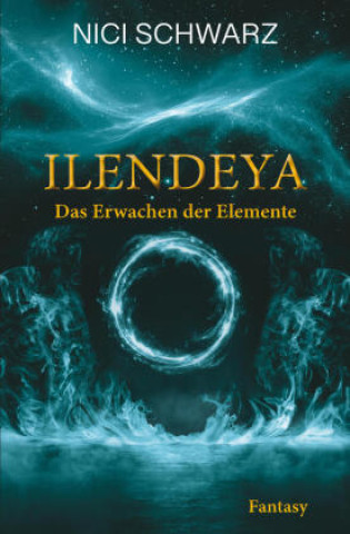 Kniha Ilendeya Nici Schwarz