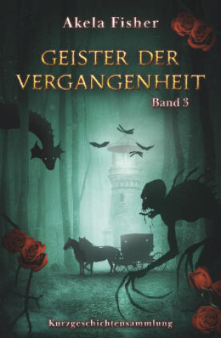 Kniha Geister der Vergangenheit Band 3 Akela Fisher