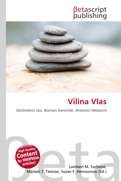 Kniha Vilina Vlas Mariam T. Tennoe