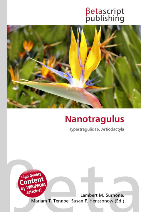 Kniha Nanotragulus Mariam T. Tennoe