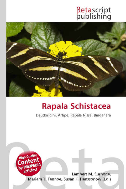 Kniha Rapala Schistacea Mariam T. Tennoe