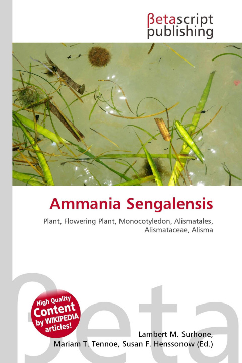 Kniha Ammania Sengalensis Mariam T. Tennoe