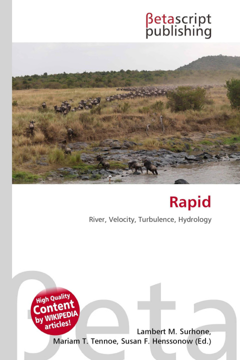 Kniha Rapid Mariam T. Tennoe