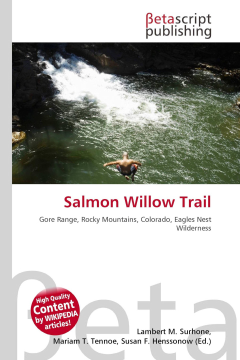 Kniha Salmon Willow Trail Mariam T. Tennoe