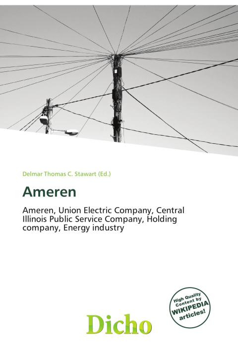 Kniha Ameren 