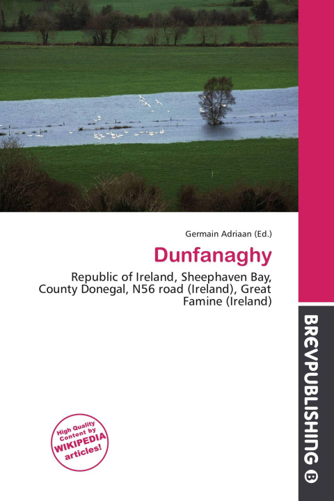 Kniha Dunfanaghy 