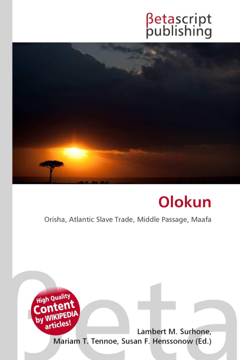 Kniha Olokun Mariam T. Tennoe