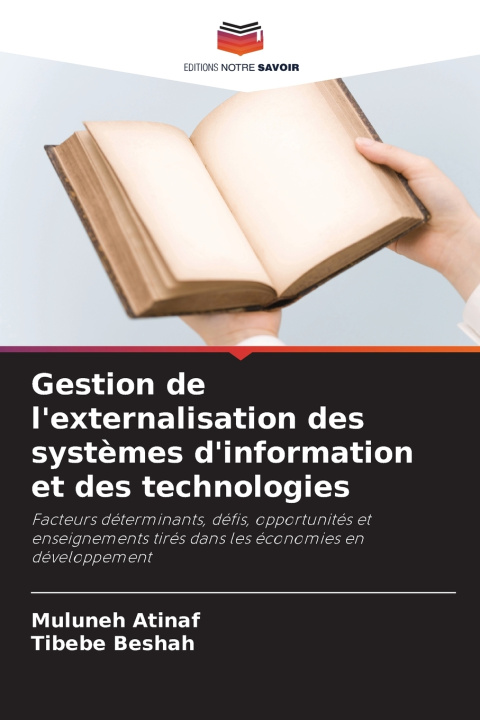 Kniha Gestion de l'externalisation des systèmes d'information et des technologies Muluneh Atinaf