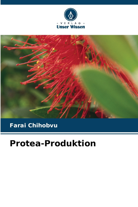 Kniha Protea-Produktion Farai Chihobvu