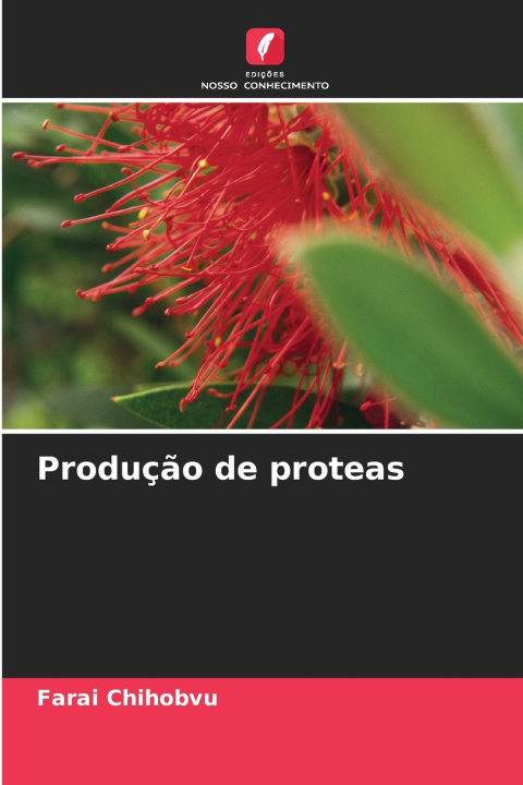 Kniha Produção de proteas Farai Chihobvu