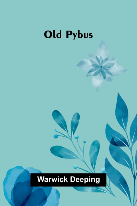 Kniha Old Pybus Warwick Deeping