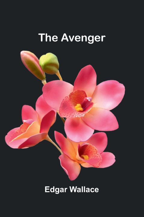 Kniha The avenger Edgar Wallace