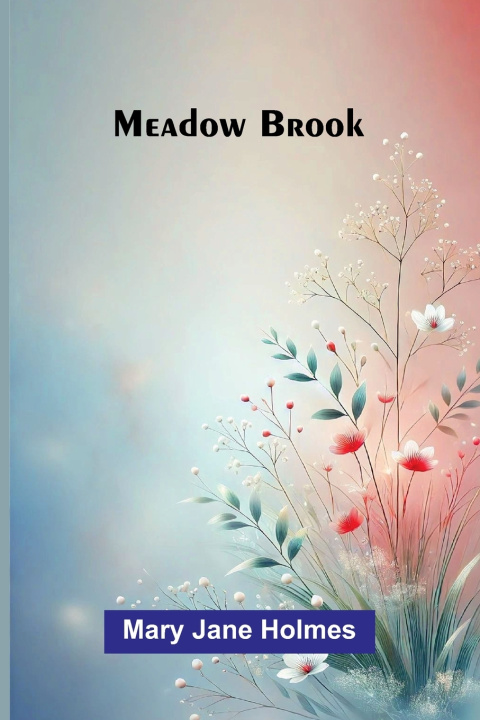 Kniha Meadow Brook Mary Jane Holmes