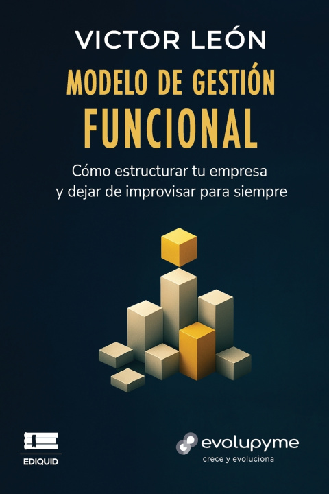 Kniha Modelo de gestión funcional Grupo Ígneo