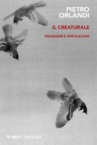 Kniha creaturale. Paradigmi e applicazioni Pietro Orlandi