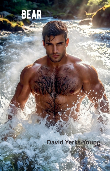 Knjiga Bear David Yerks-Young