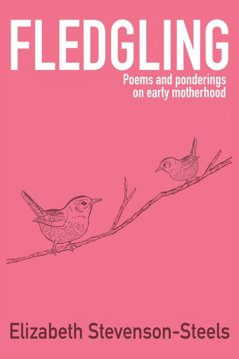 Knjiga Fledgling Elizabeth Stevenson-Steels