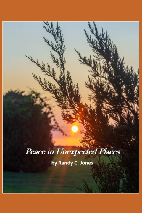 Knjiga Peace in Unexpected Places Randy C Jones