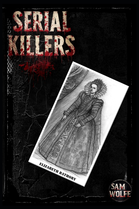 Könyv Serial killers Sam Wolfe