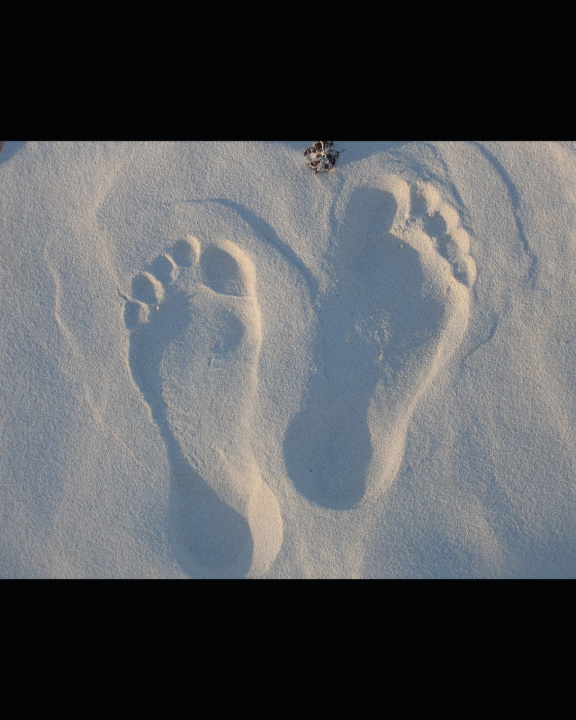 Knjiga Foot First Legacy Bree D.D. Davis