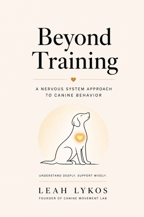 Kniha Beyond Training Leah Lykos