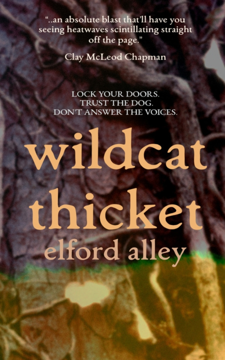 Book Wildcat Thicket Elford Alley