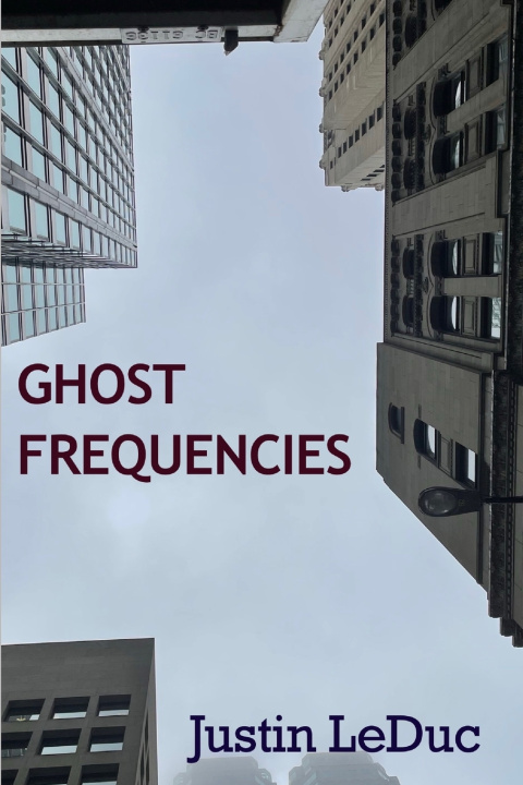 Knjiga Ghost Frequencies Justin LeDuc