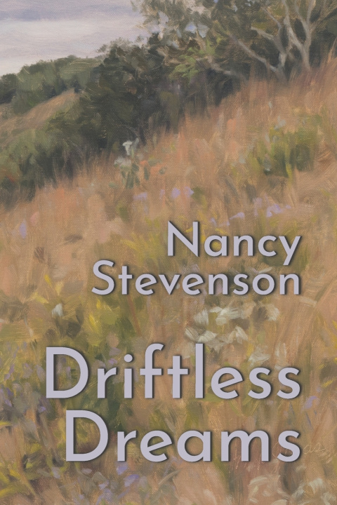 Kniha Driftless Dreams Nancy A Stevenson