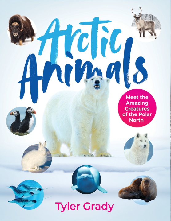 Kniha Arctic Animals Tyler Grady