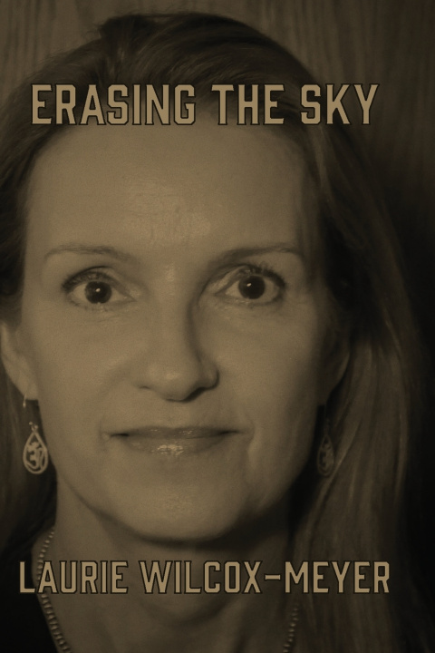 Könyv Erasing the Sky Laurie Wilcox-Meyer