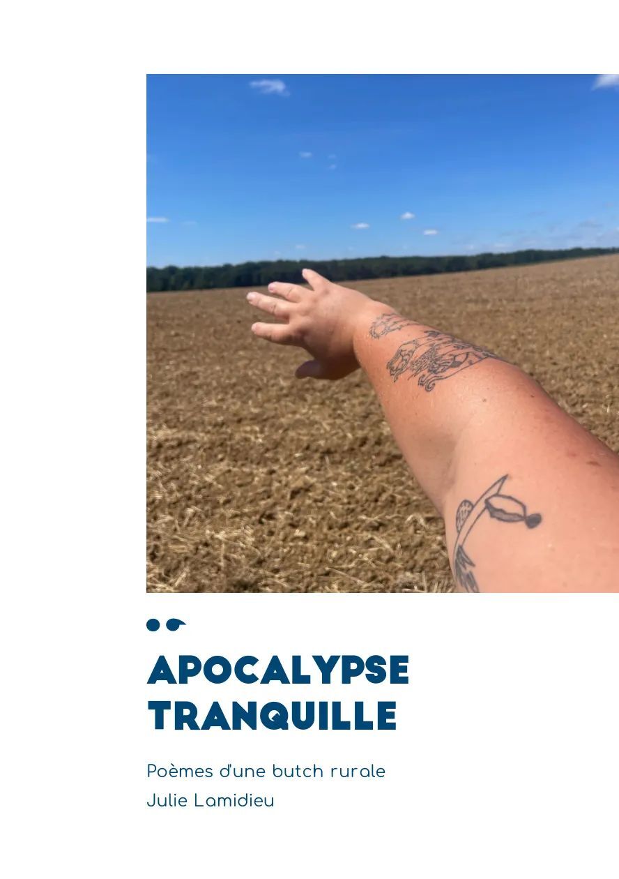 Kniha Apocalypse tranquille Lamidieu