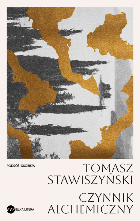 Libro Czynnik alchemiczny Tomasz Stawiszyński