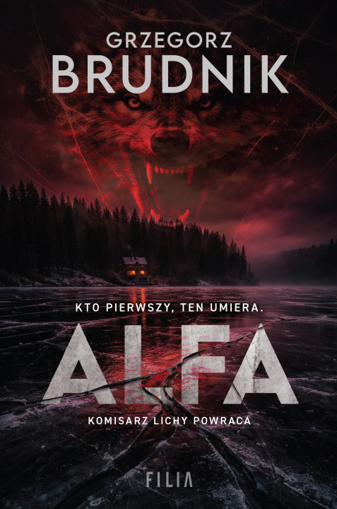 Knjiga Alfa Grzegorz Brudnik