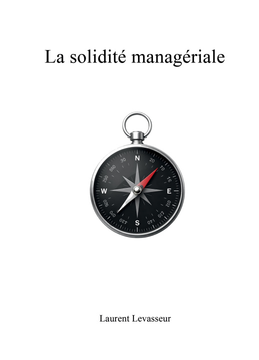 Kniha La solidité managériale Laurent LEVASSEUR