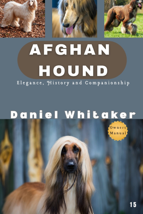 Kniha Afghan Hound Daniel Whitaker